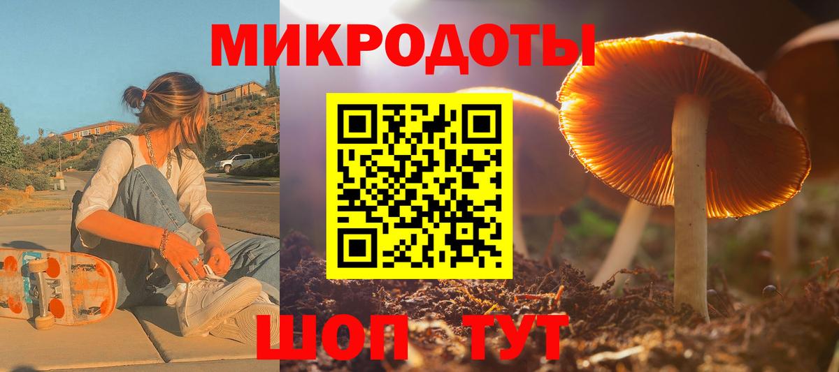 Псилоцибиновые грибы Cubensis  Вход с VPN  Октябрьский 