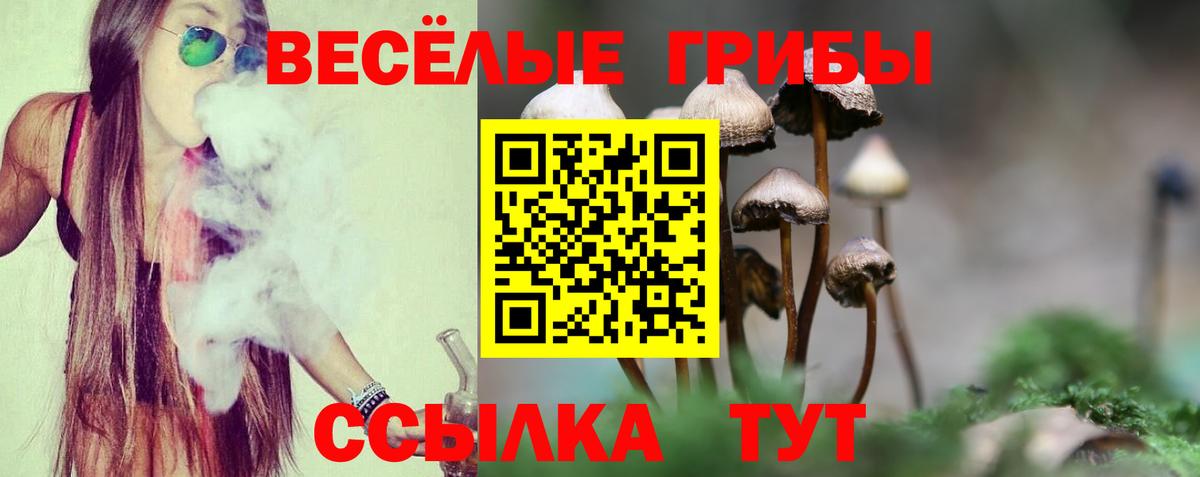 Псилоцибиновые грибы Magic Shrooms Октябрьский